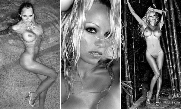 Фото Pamela Anderson фотографии Pamela Anderson голая Pamela Anderson